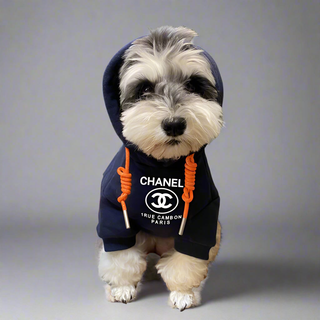 C.H Front Hoodie