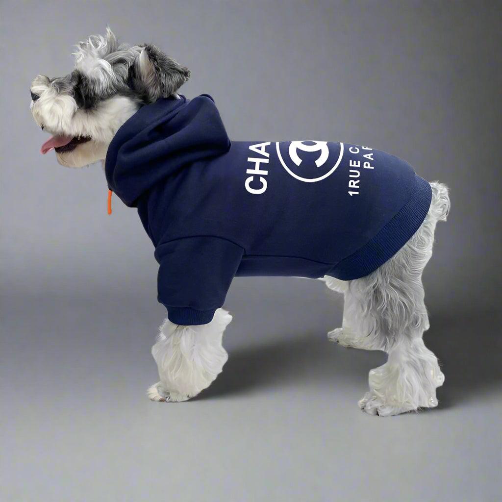 C.H Back Hoodie