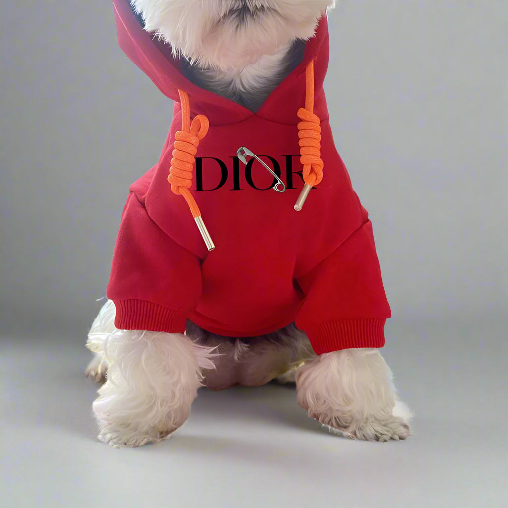 C.D Front Hoodie
