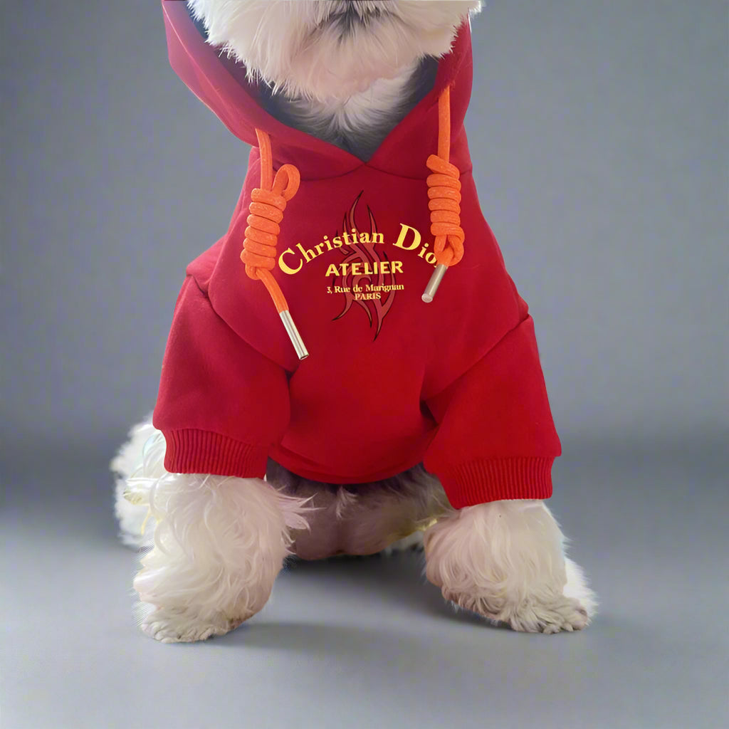C.D Front Hoodie