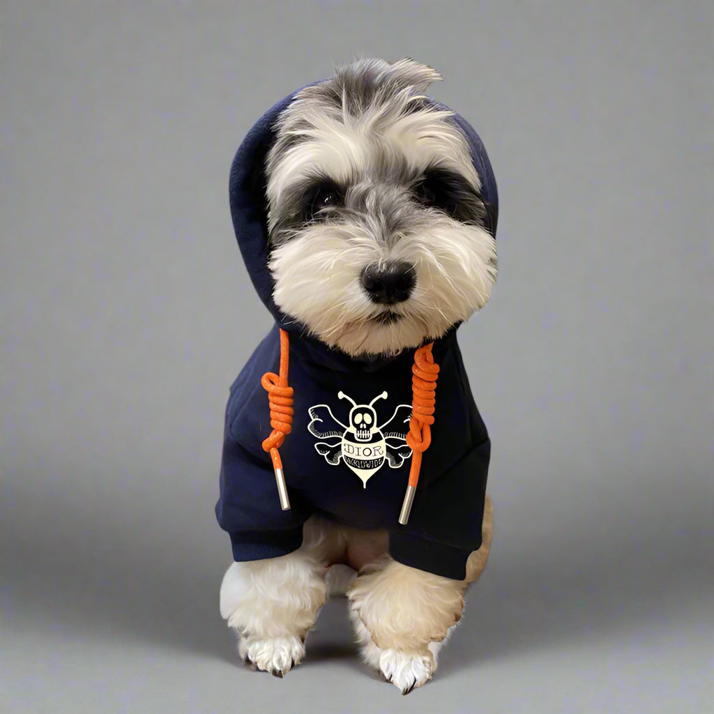 C.D Front Hoodie