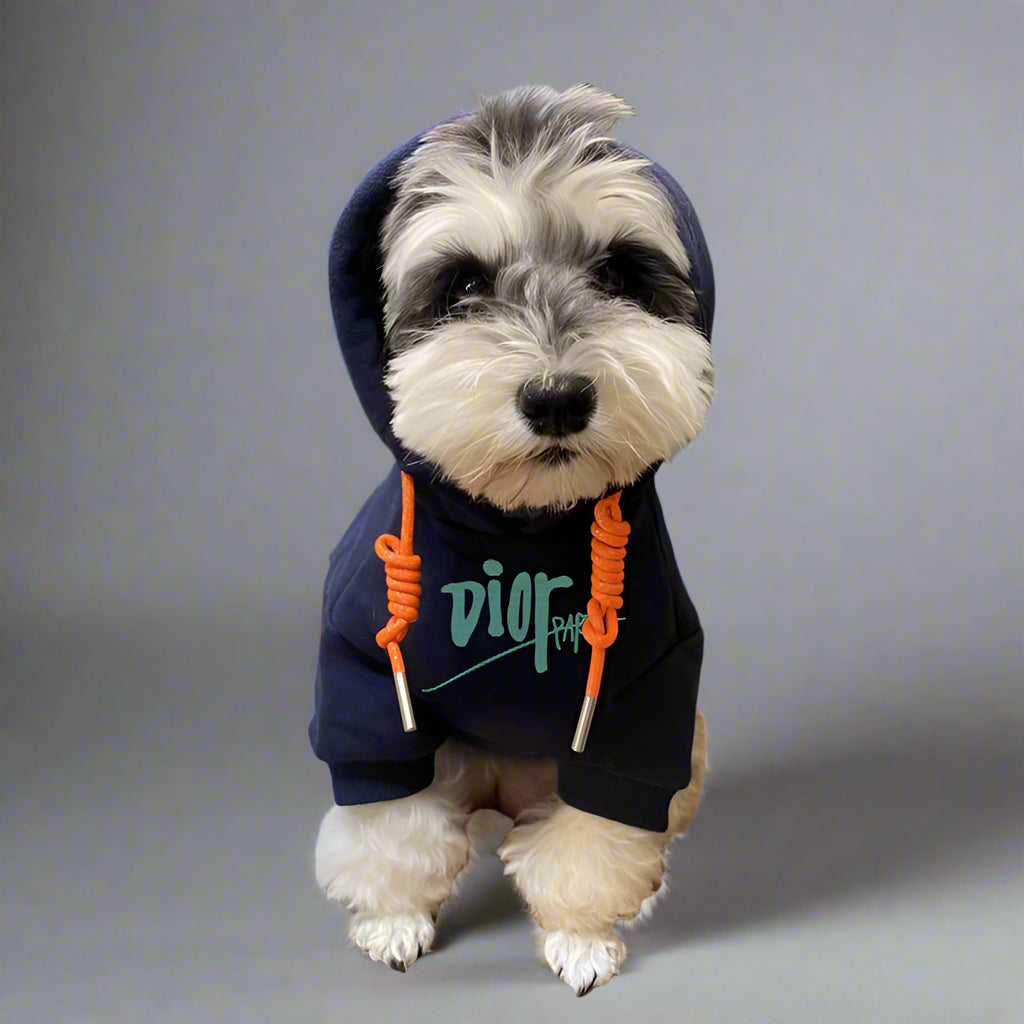 C.D Front Hoodie