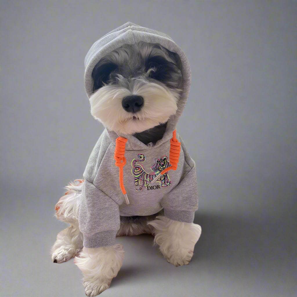 C.D Front Hoodie