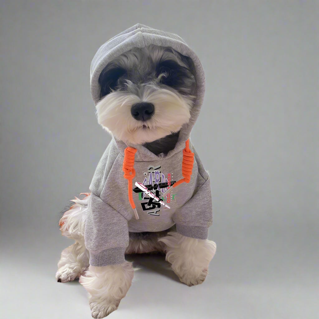 C.D Front Hoodie