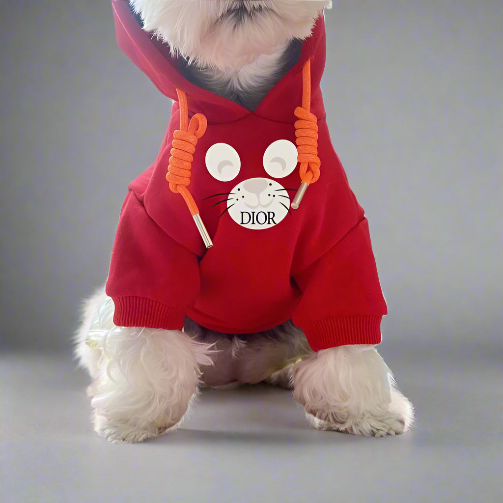 C.D Front Hoodie