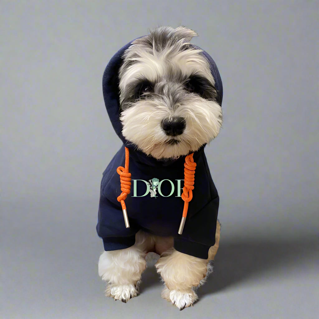 C.D Front Hoodie