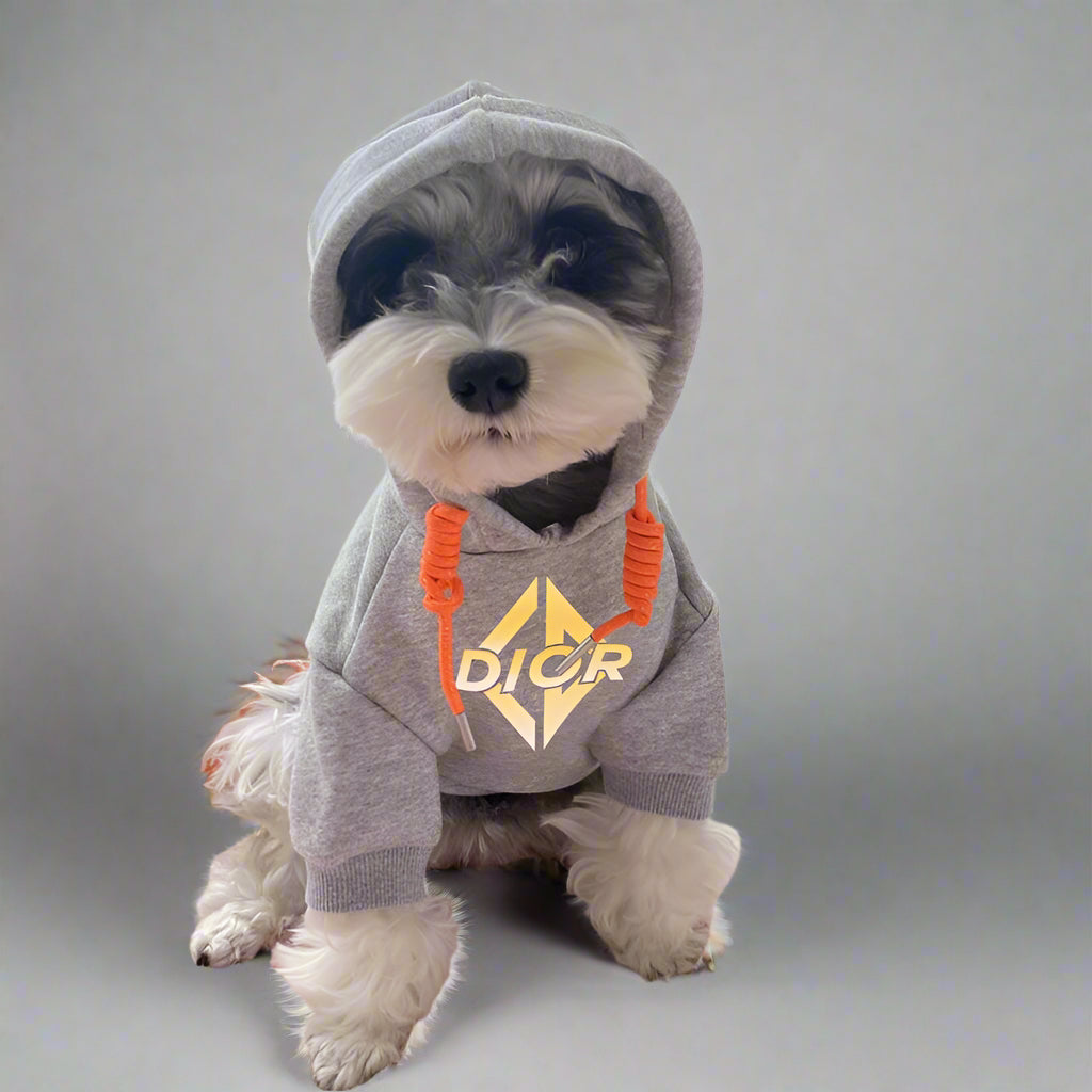 C.D Front Hoodie