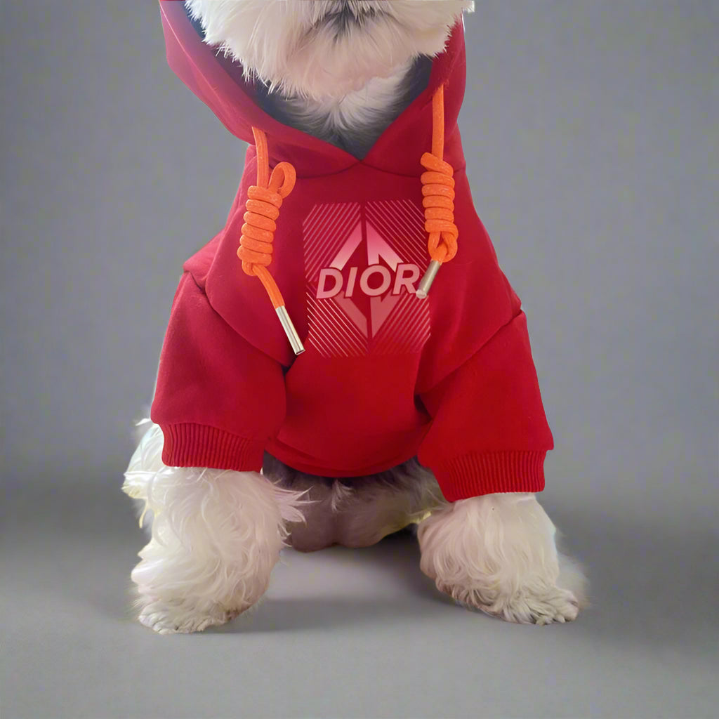 C.D Front Hoodie