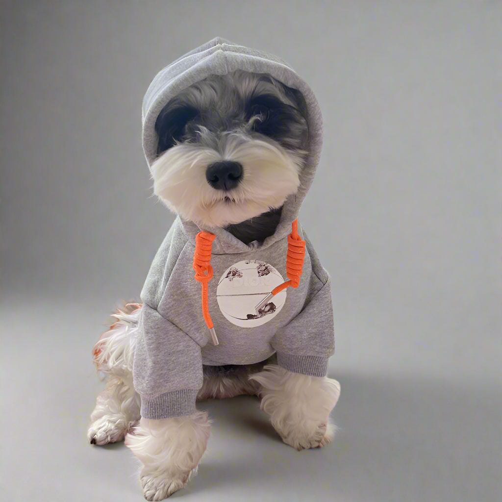 C.D Front Hoodie