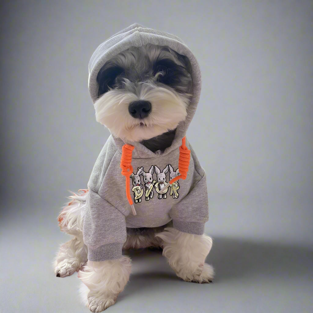 C.D Front Hoodie