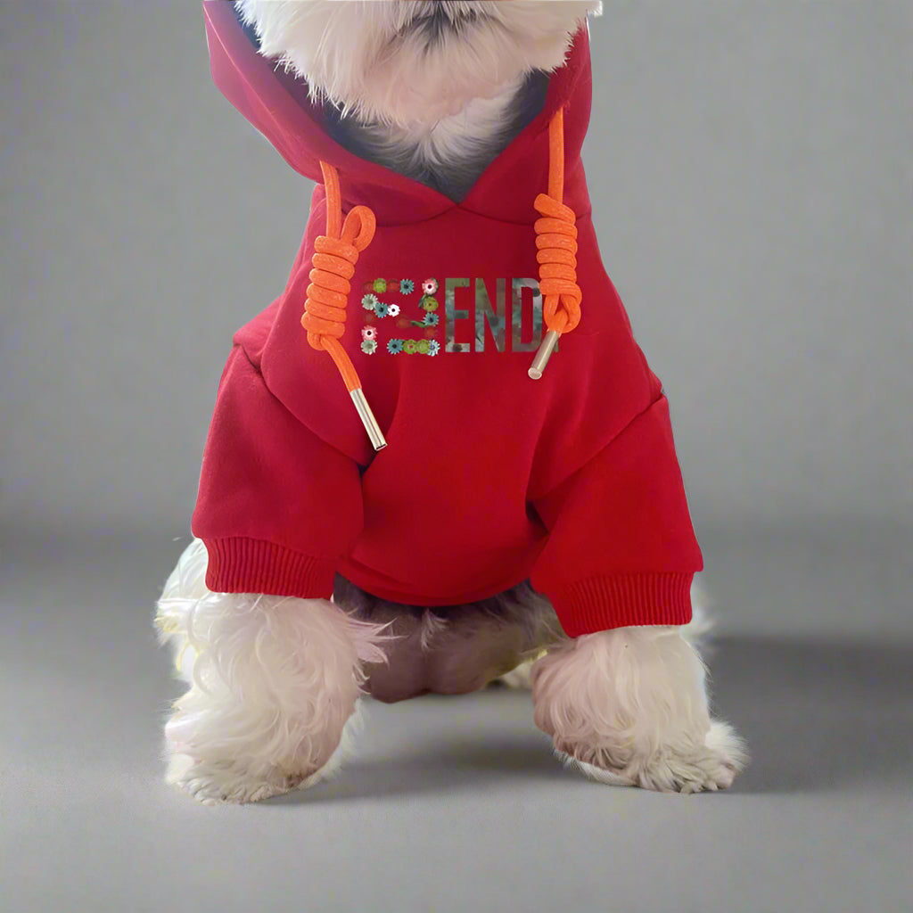 F.F Front Hoodie