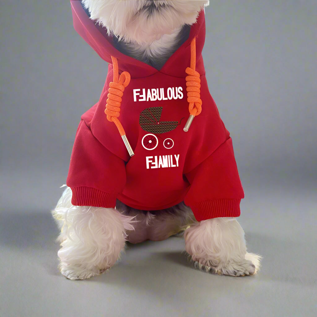 F.F Front Hoodie