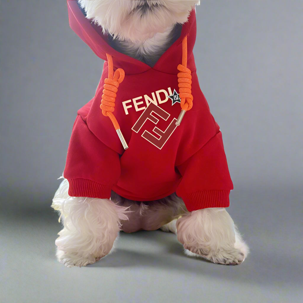 F.F Front Hoodie