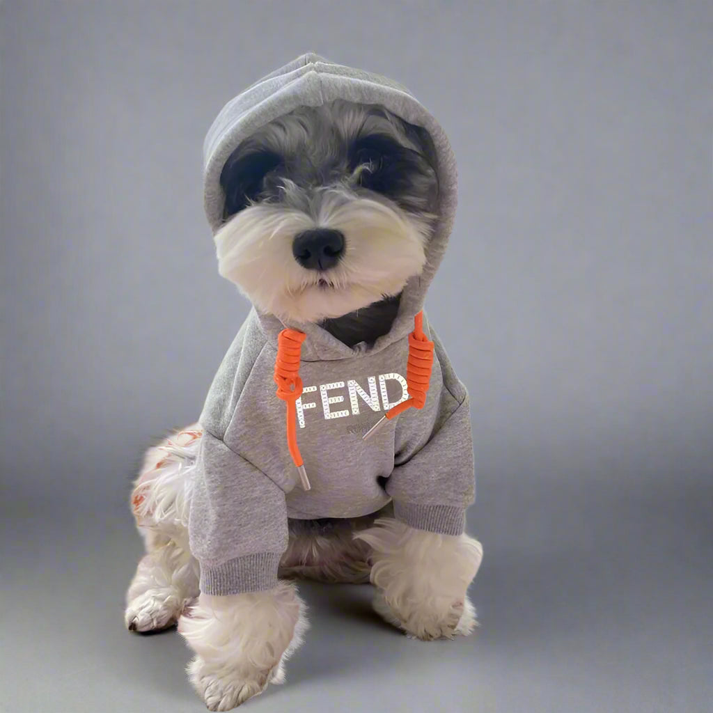 F.F Front Hoodie