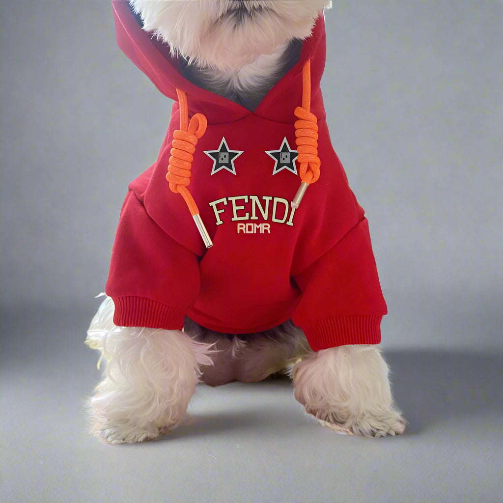 F.F Front Hoodie