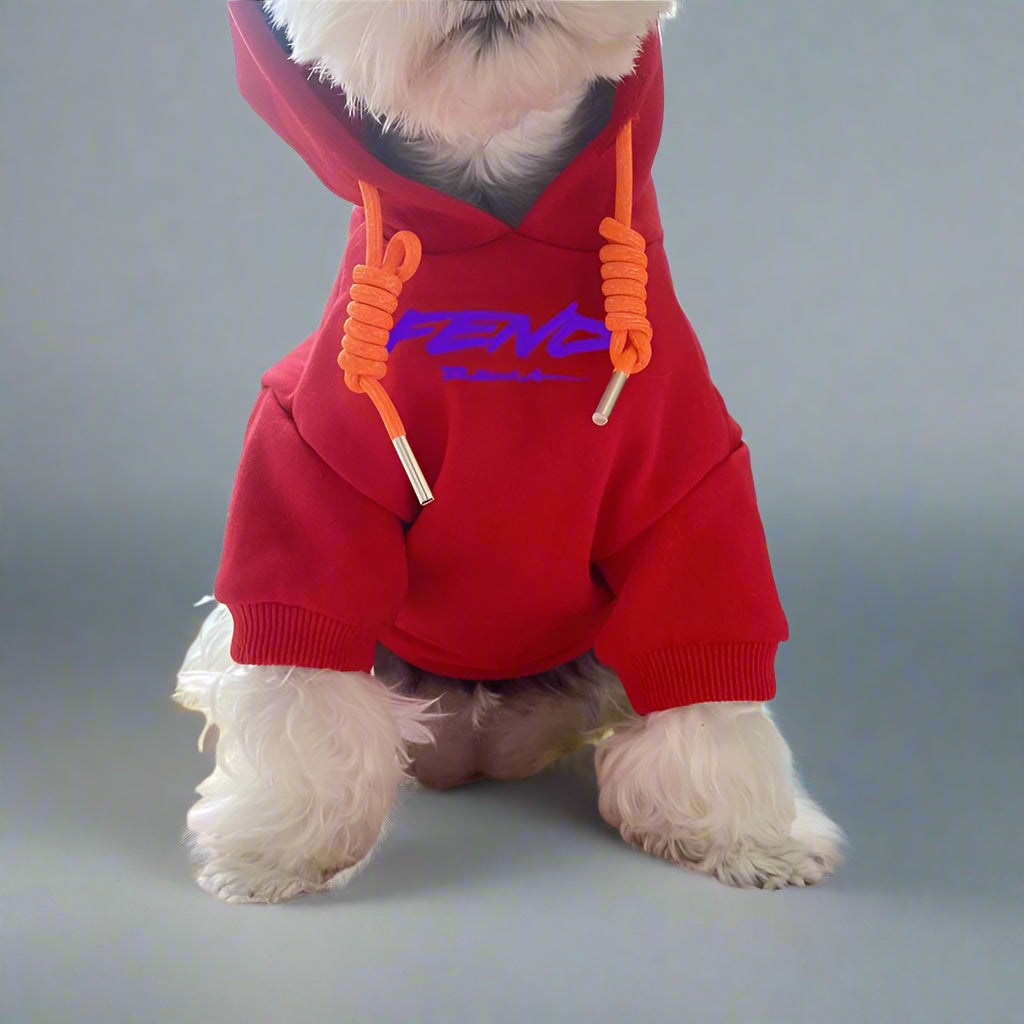 F.F Front Hoodie