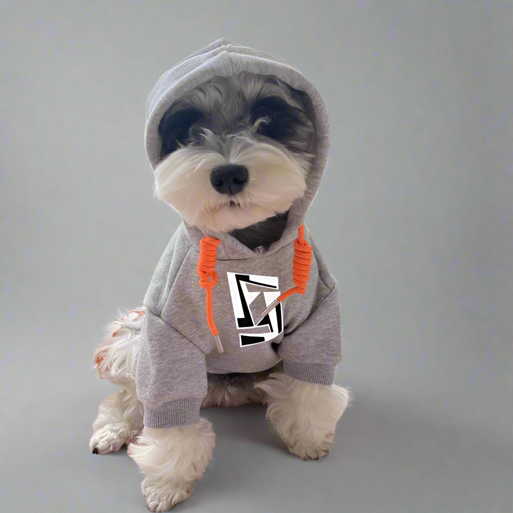 F.F Front Hoodie