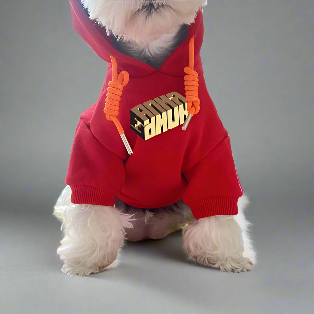 F.F Front Hoodie