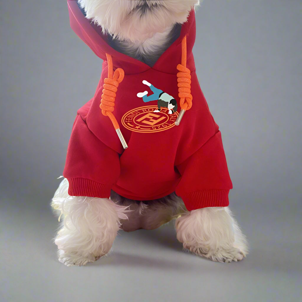 F.F Front Hoodie