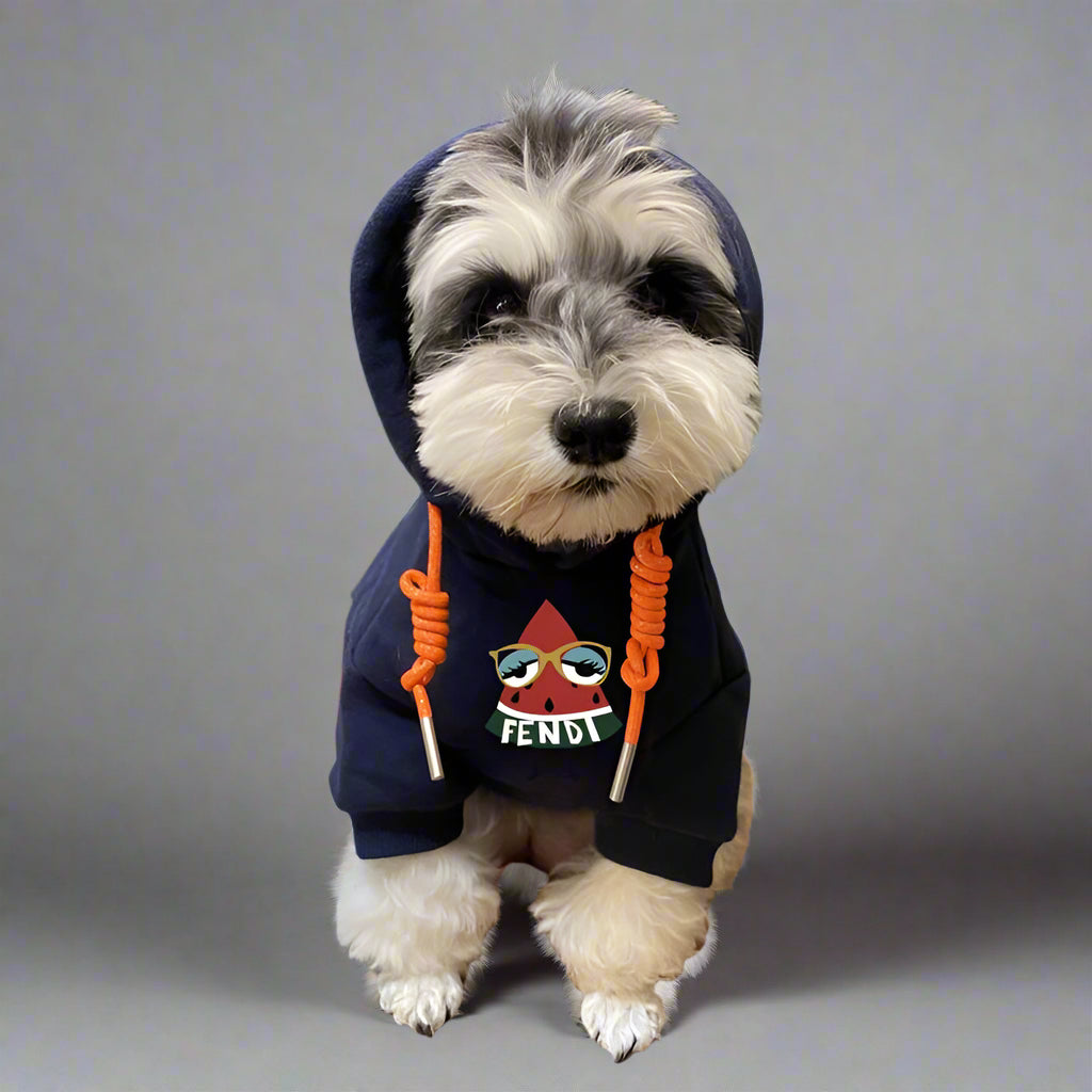 F.F Front Hoodie