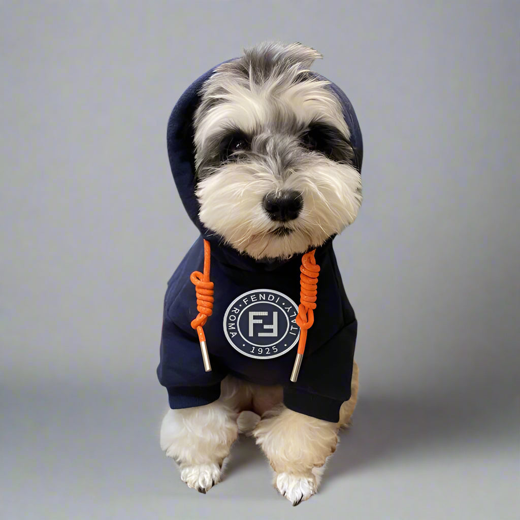 F.F Front Hoodie