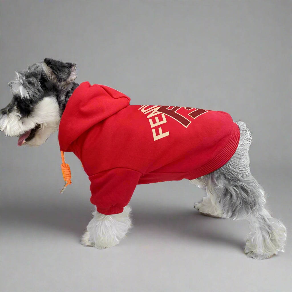F.F Back Hoodie