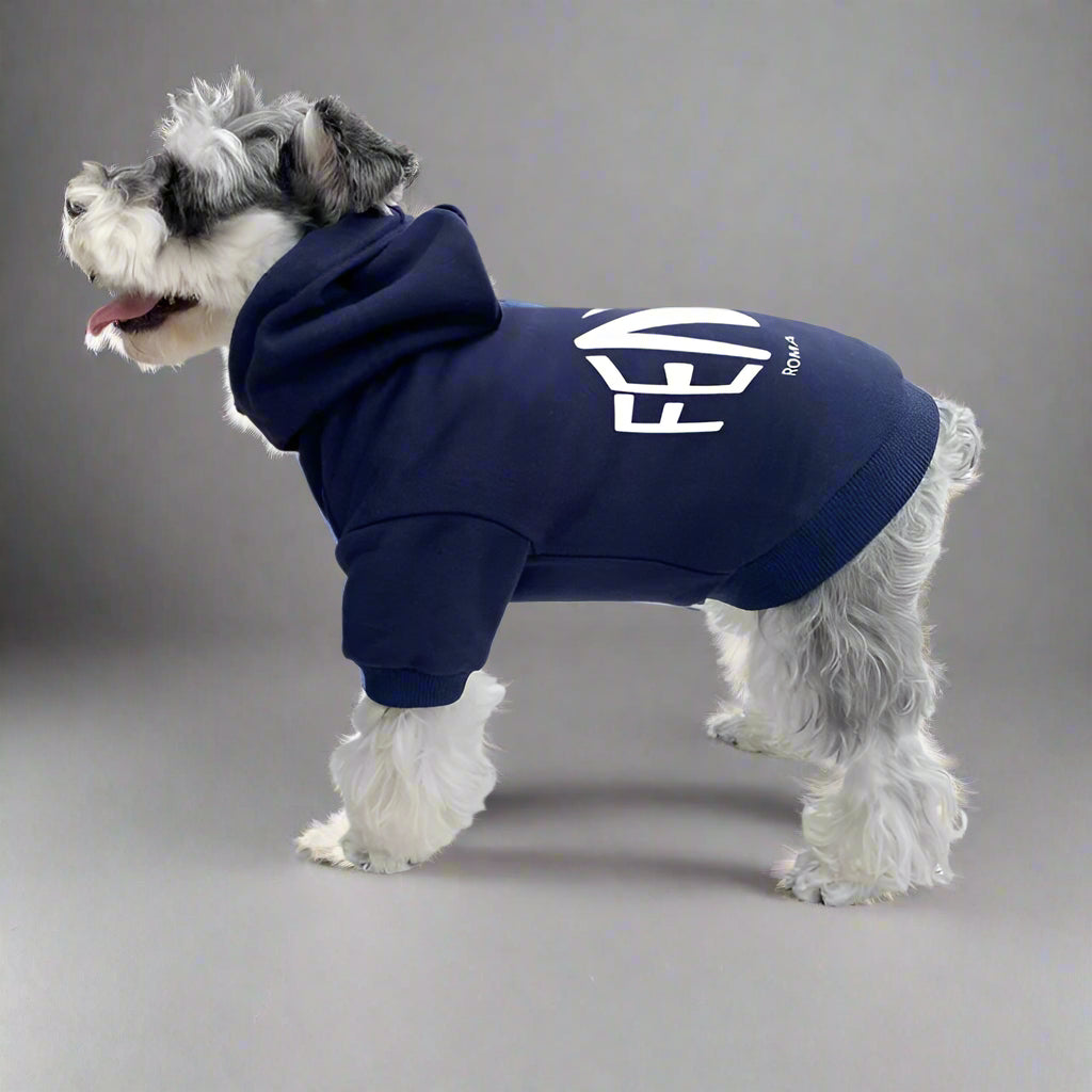 F.F Back Hoodie