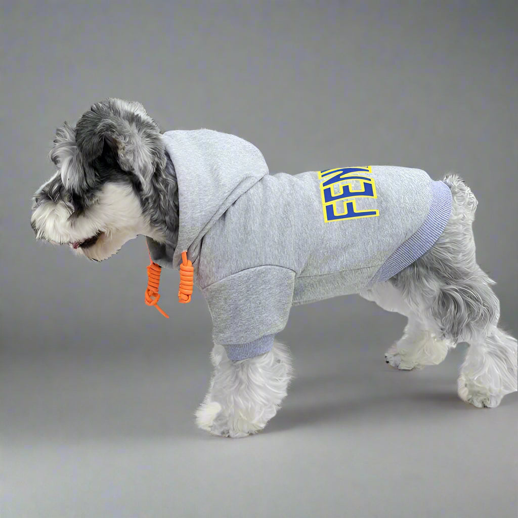 F.F Back Hoodie
