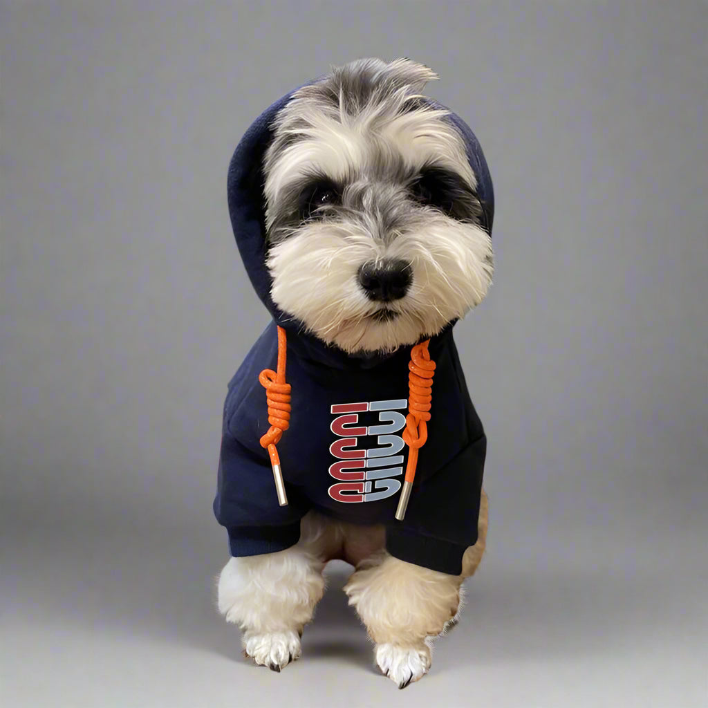 G.G Front Hoodie