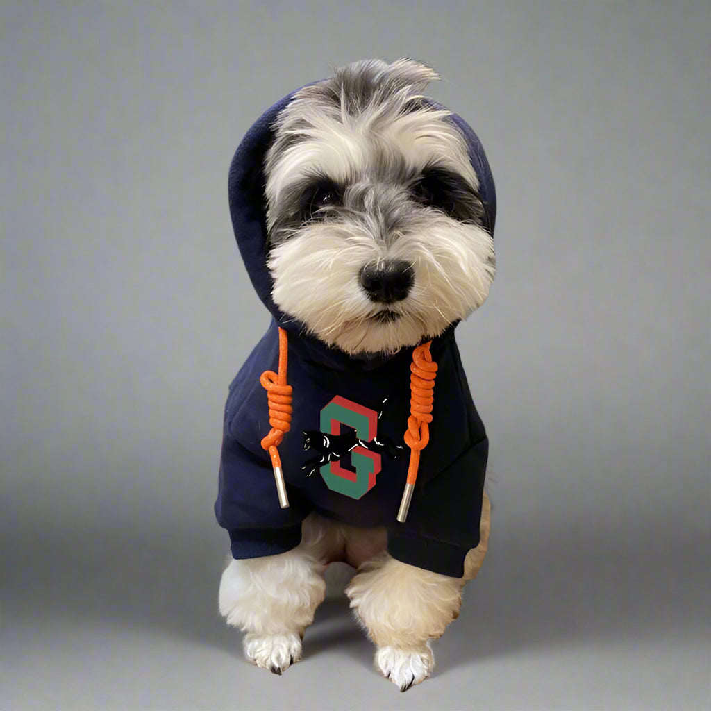 G.G Front Hoodie
