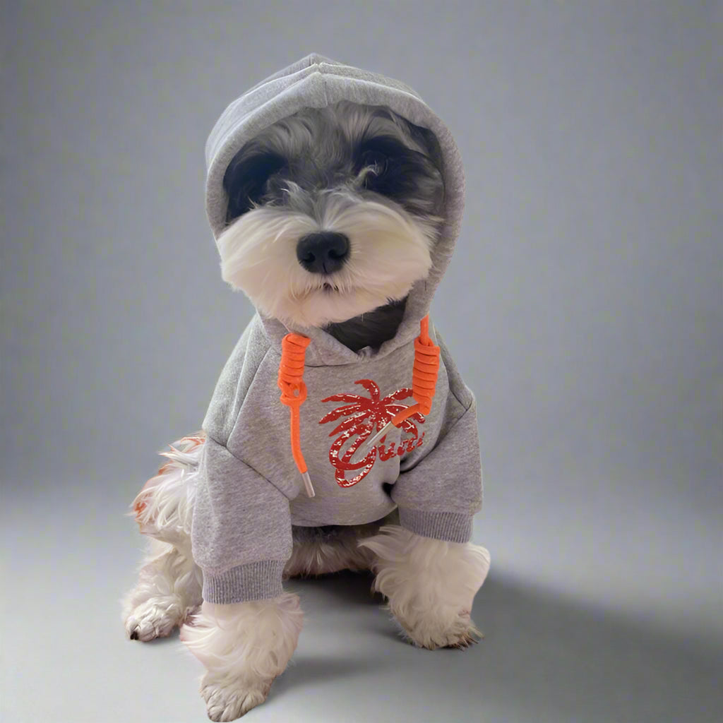 G.G Front Hoodie