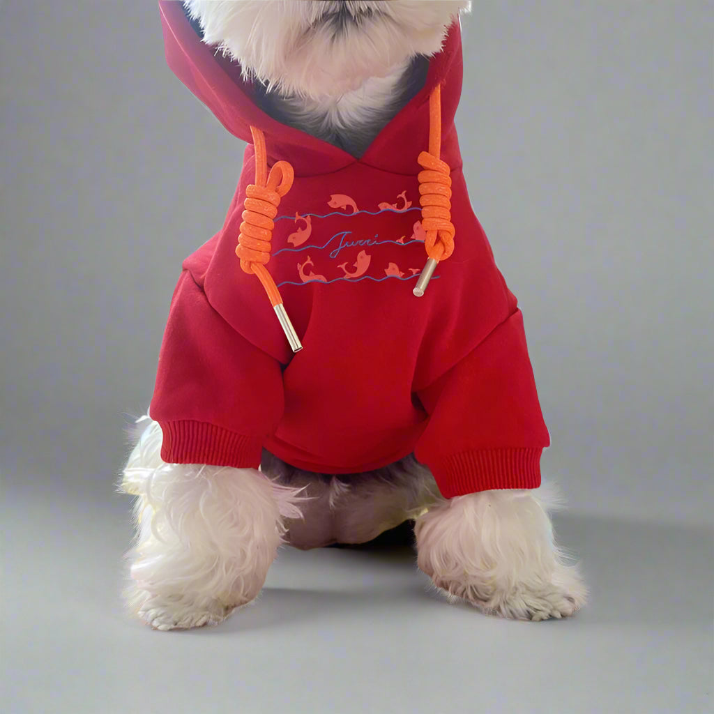 G.G Front Hoodie