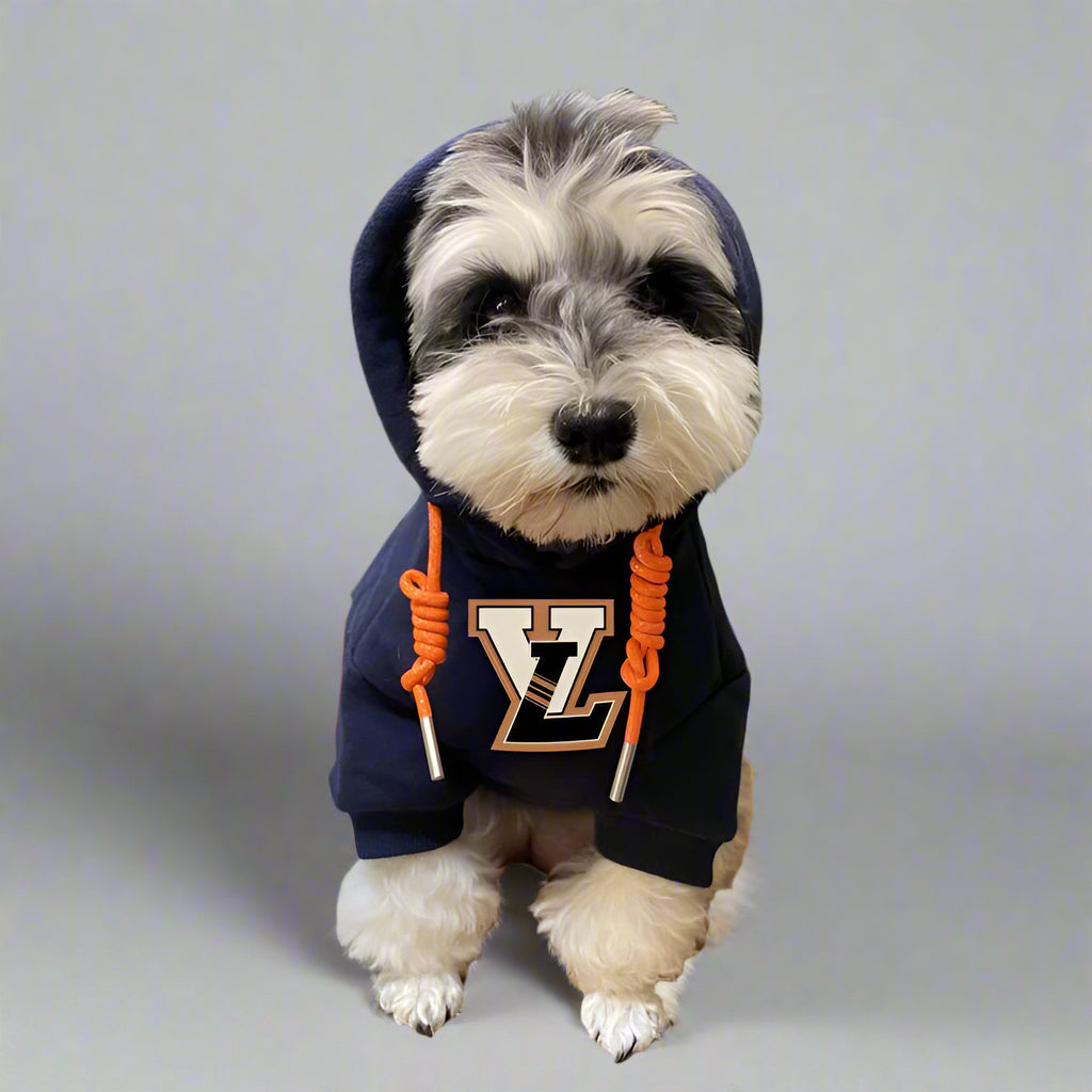 L.V Front Hoodie