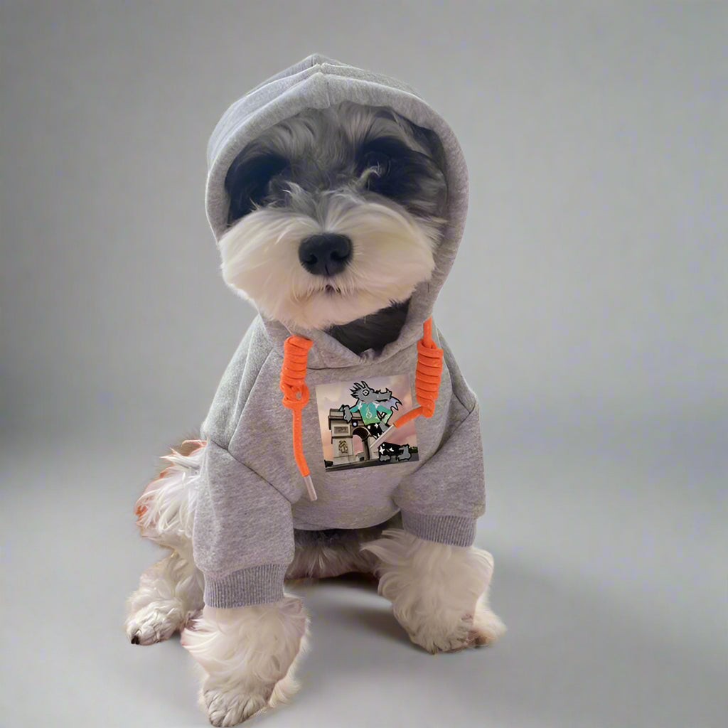 L.V Front Hoodie