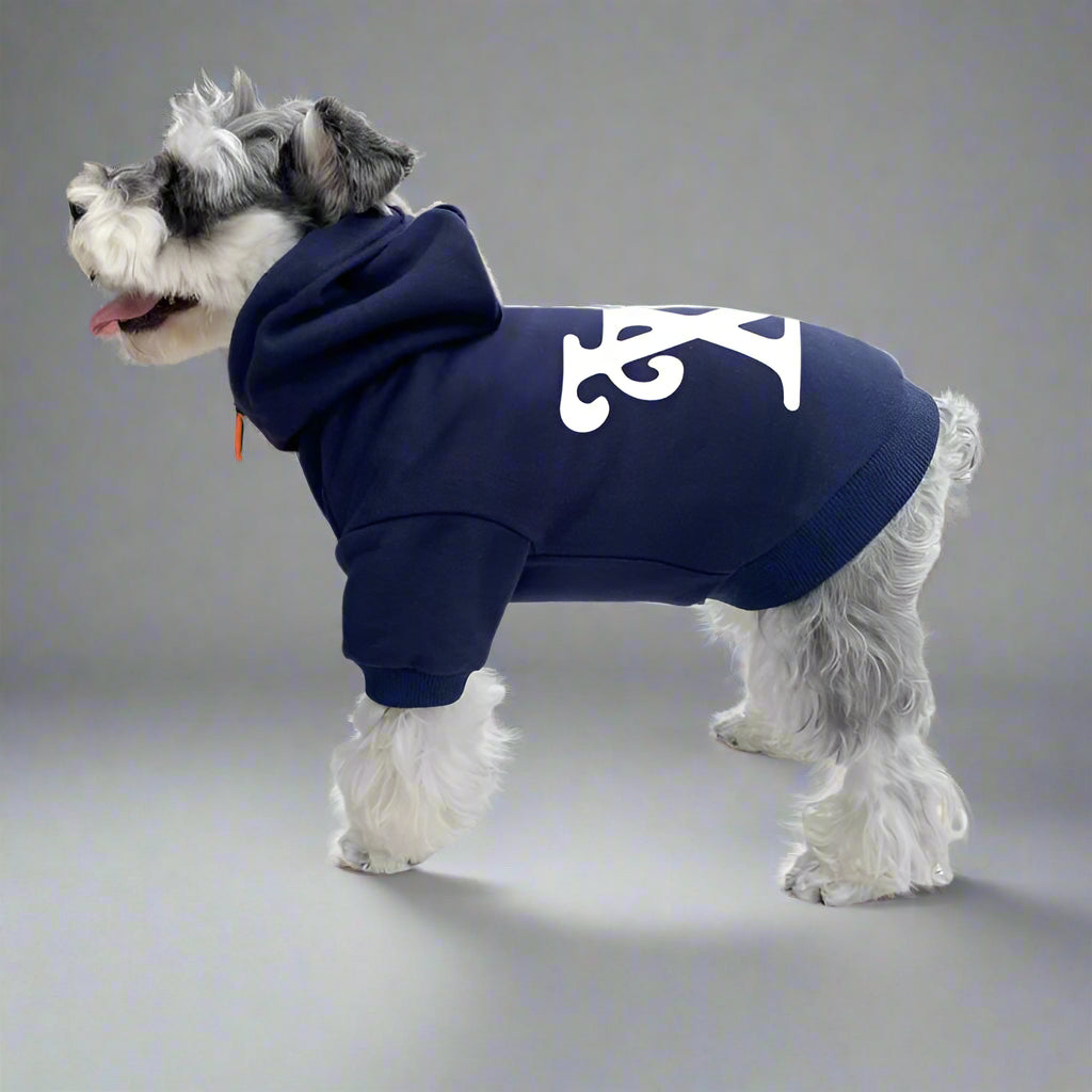 L.V Back Hoodie