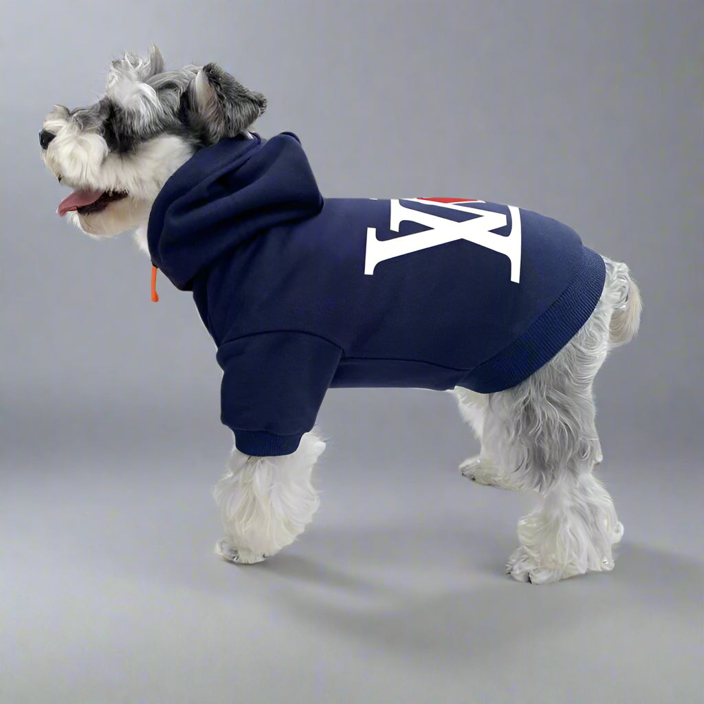 L.V Back Hoodie
