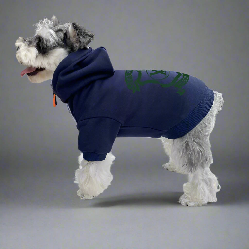 L.V Back Hoodie