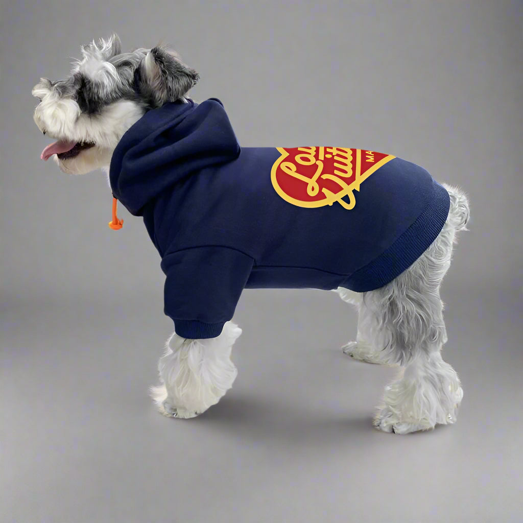 L.V Back Hoodie