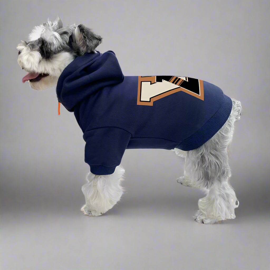 L.V Back Hoodie