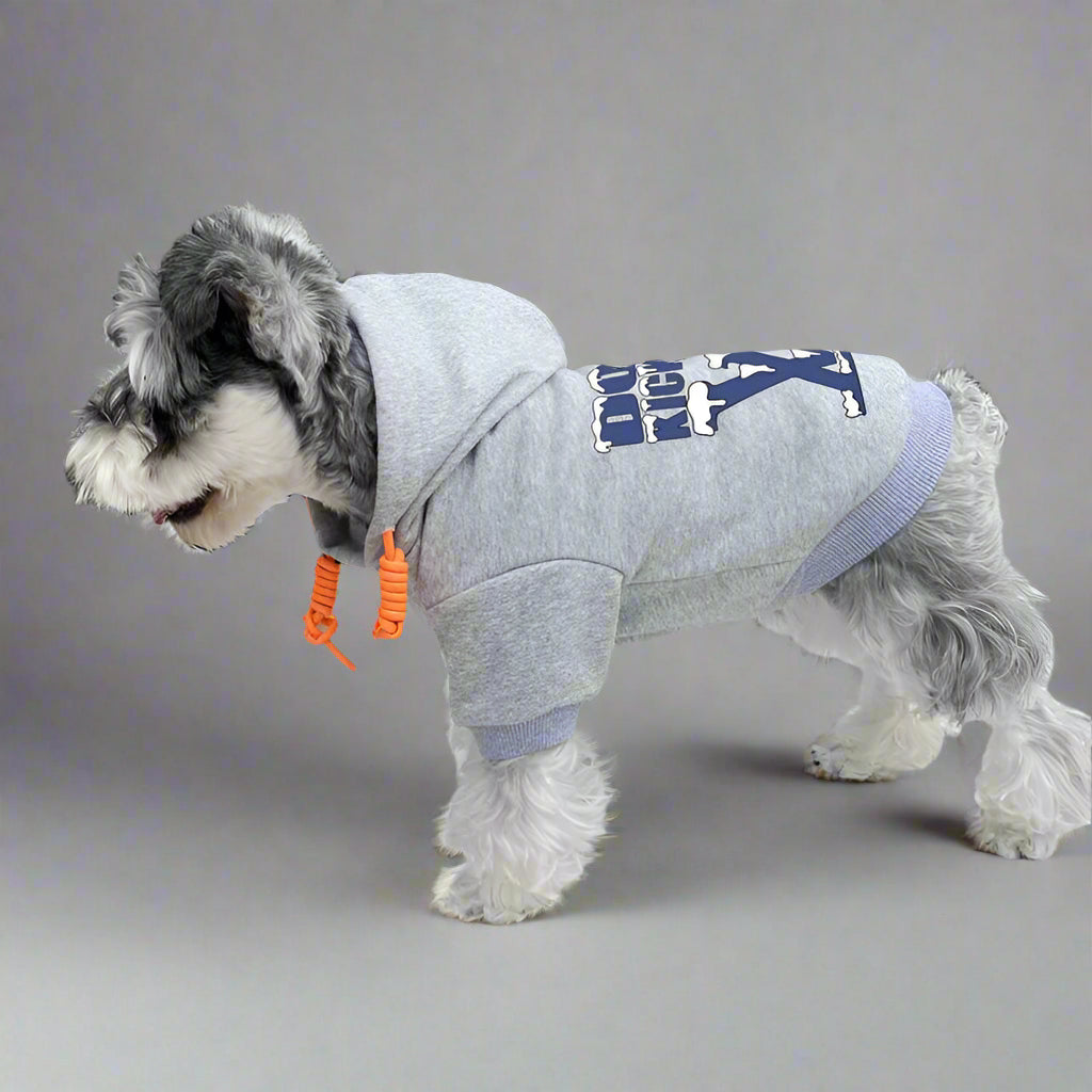 L.V Back Hoodie