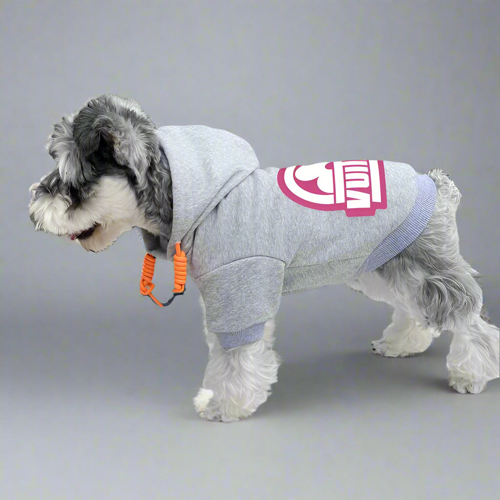 L.V Back Hoodie