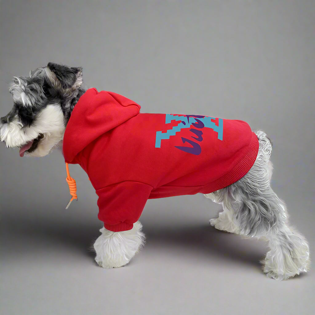 L.V Back Hoodie