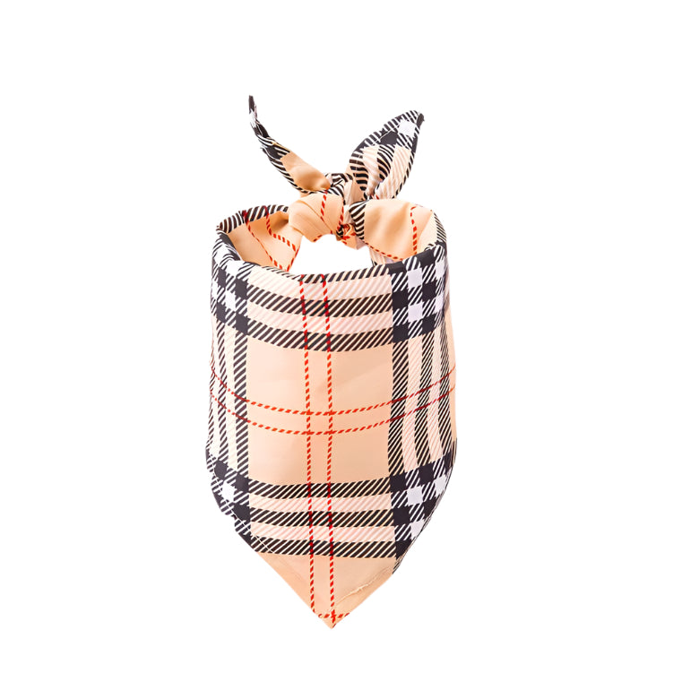 B.B Triangle Scarf