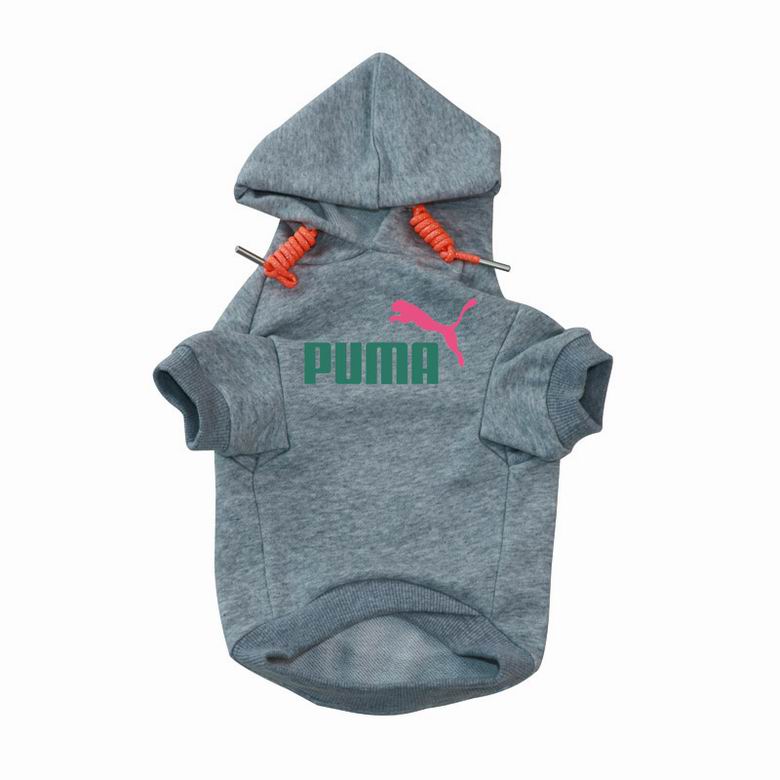 PMA Front Hoodie
