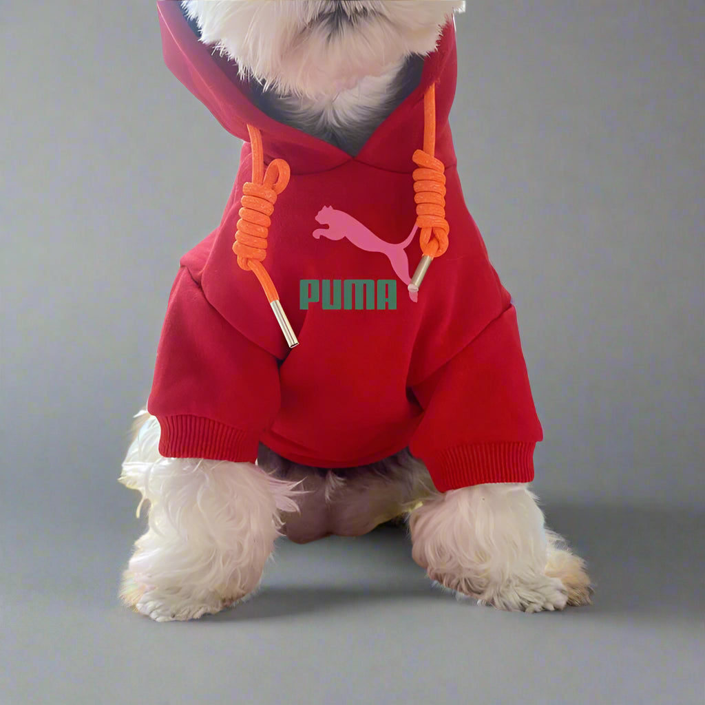 PMA Front Hoodie