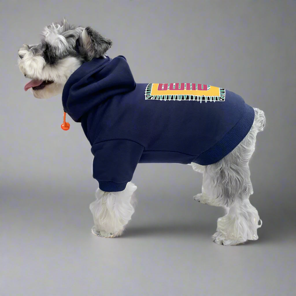 PMA Back Hoodie