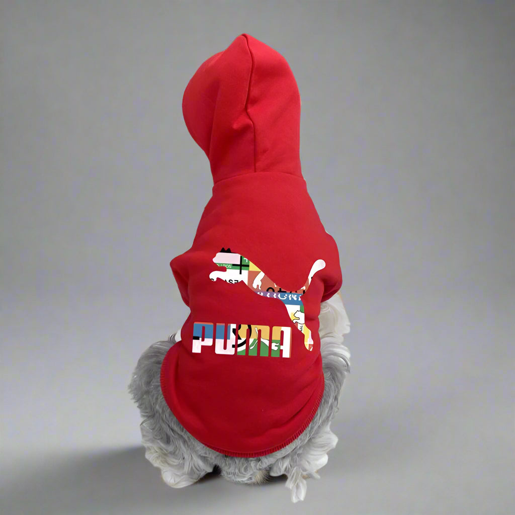 PMA Back Hoodie